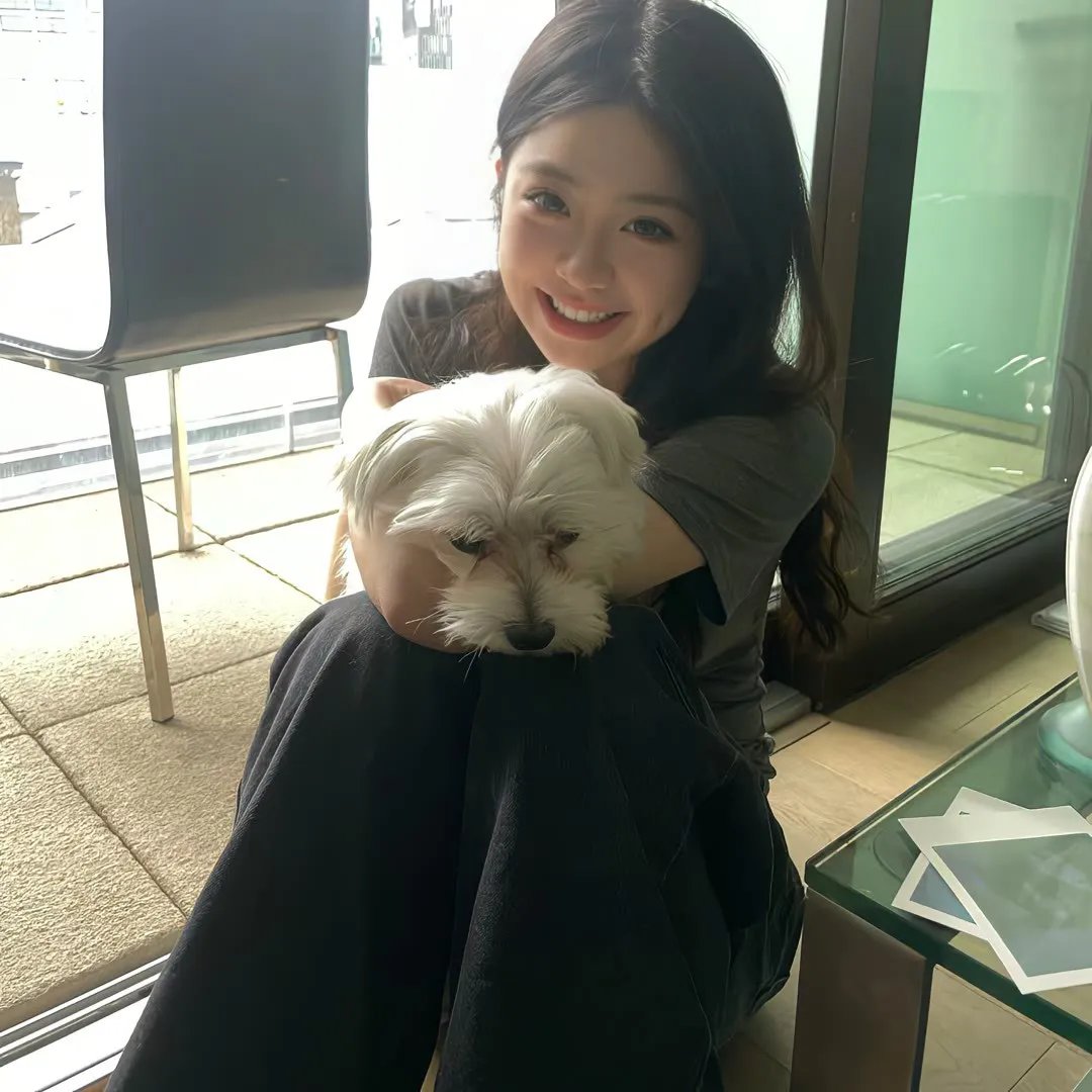 孤独的野兽